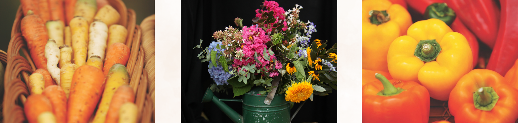 oak island farmers market